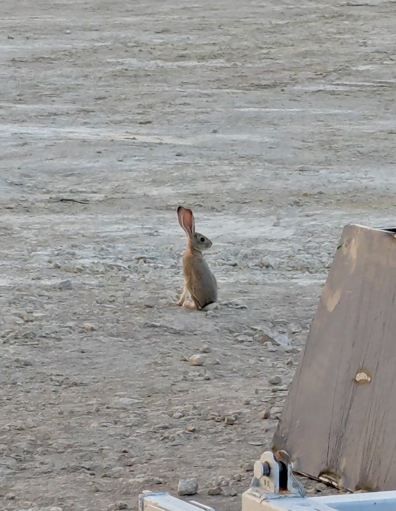 Sustainable Energy Development